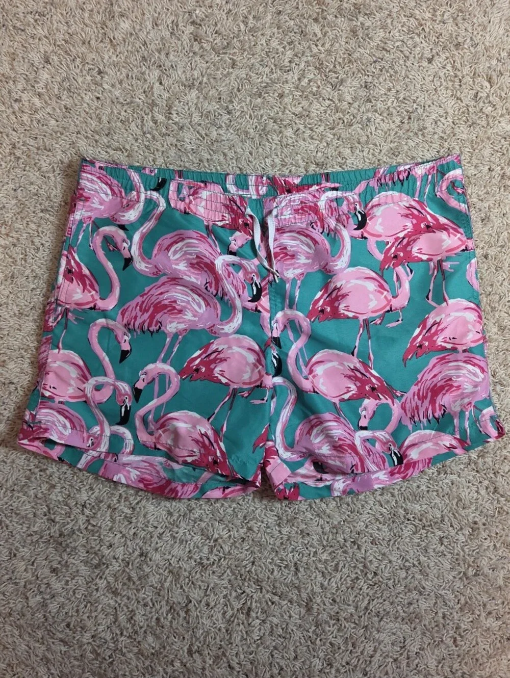 Chubbies Pink Flamingo Print Shorts - Green & Pink